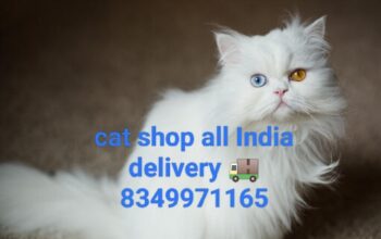 free home delivery all India