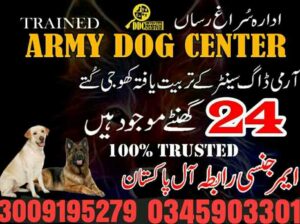 Army Dog Center Taxila 03458966073 Wah Cantt