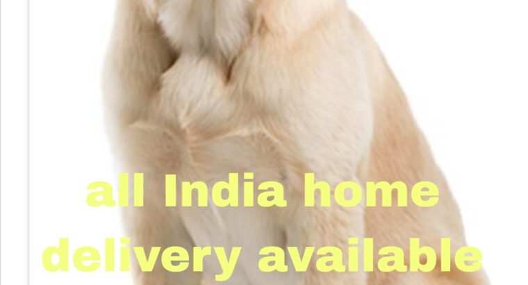 Free home delivery all India