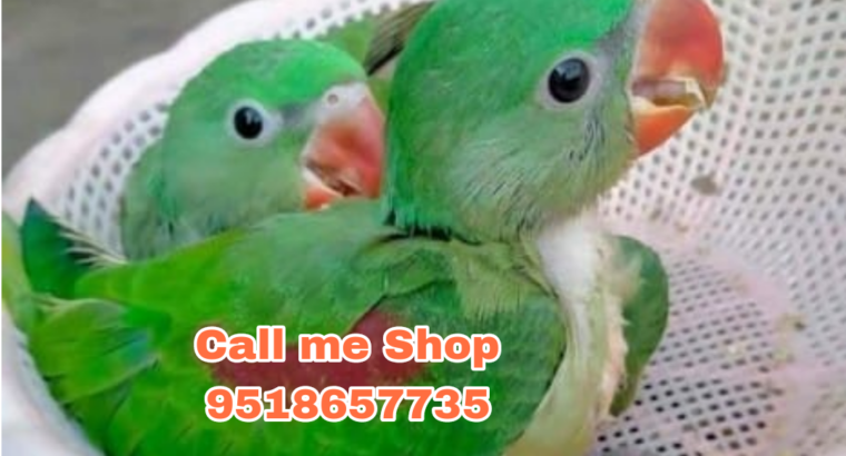 Home Delivery All India Call me Shop 9518657735