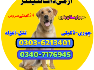 army Dog Center Burewala 03036213401