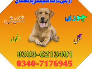 army Dog Center MuLtAn Khoji Kutta 0303621340