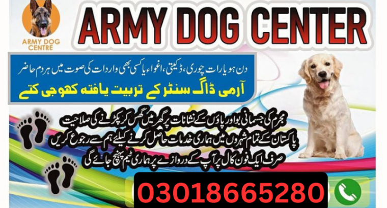 Army Dog Center Sargodha 03018665280 #SniffersDogs