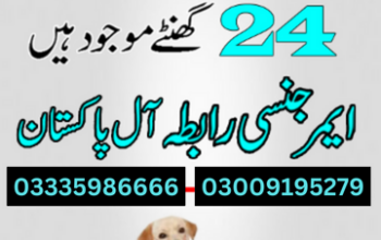 Army Dog Center Abbottabad 03018665280
