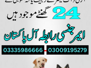 Army Dog Center Wazirabad 03018665280