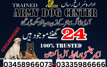 Army Dog Center Sialkot 03018665280