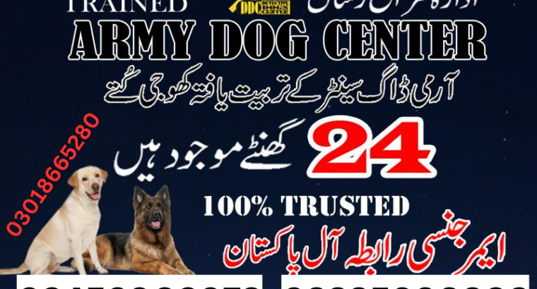Army Dog Center Sialkot 03018665280