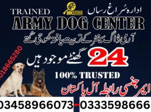Army Dog Center Muzaffarabad 03018665280
