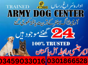 Army Dog Center Gujrat 03018665280