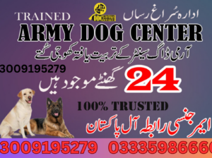 Army Dog Centre Khanewal 03018665280