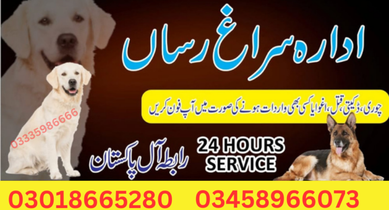 Army Dog Center Islamabad 03009195279