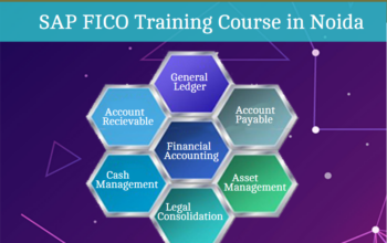 SAP FICO Certification Course in Noida, SAP s/4