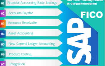 SAP Finance Course in Delhi, SLA Finance Institute