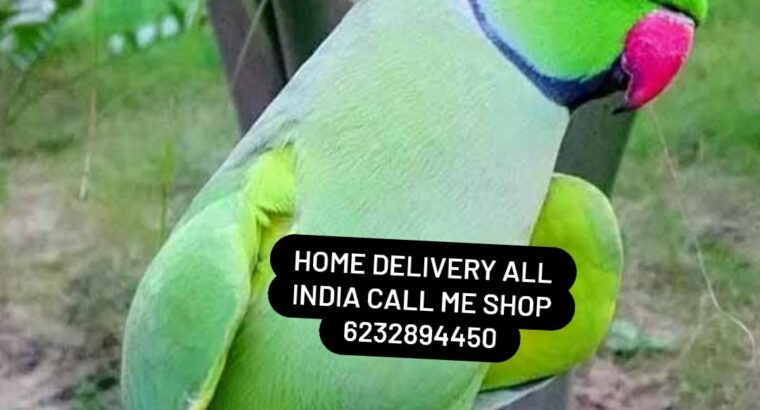 ALL INDIA HOME DELIVERY AVELIBALE 6232894450🚚