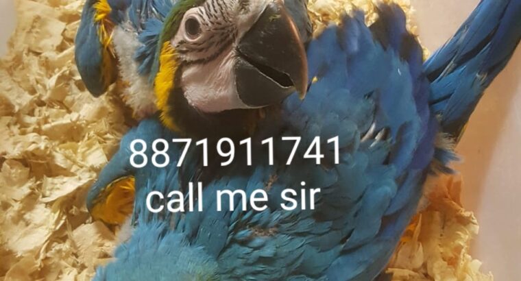 8871911741.Call me sir