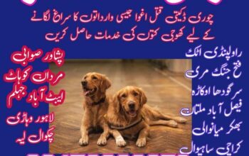 Army Dog Centre Quetta 03018665280