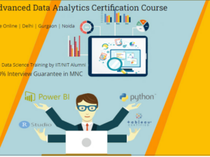 Data Analyst Training Course in Delhi.110027. Best