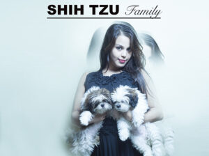 Shih tzu new adorable pups 9916672339