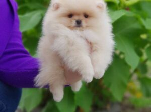 Call me sar 7078439154