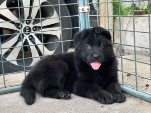 home delivery all India