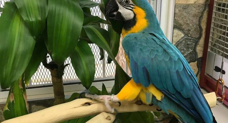 All 🦜🚚India home delivery my contact📞 numb