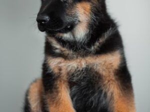 call me…9653743433