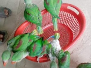 Call me sar 8571030626