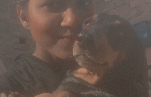 dog
