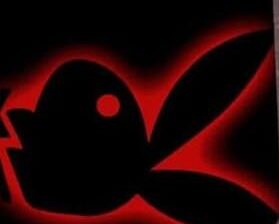 Suratgarh Ramdev ji mandir se aage Bhavna Sch