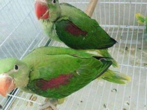 8053244186 call 🤙 me