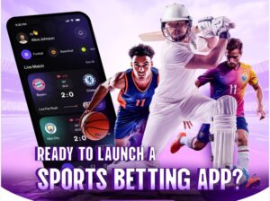 Cost-Optimized Sports Betting Script for Serious