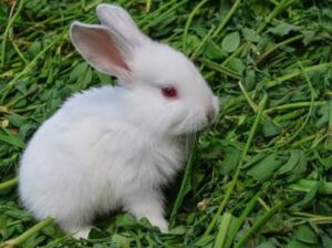 All selling available all india over