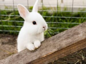 All  selling available all india over