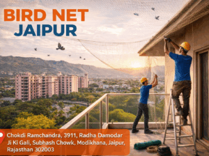 Affordable Pigeon Net Service in Jaipur