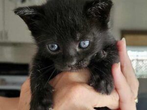 call 🤙🏿 98892 68958