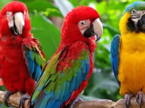 delivery🚚 7310507065