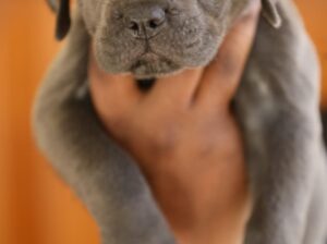 call me 7204141071, 7406088578