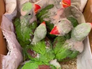 call me 7419238140